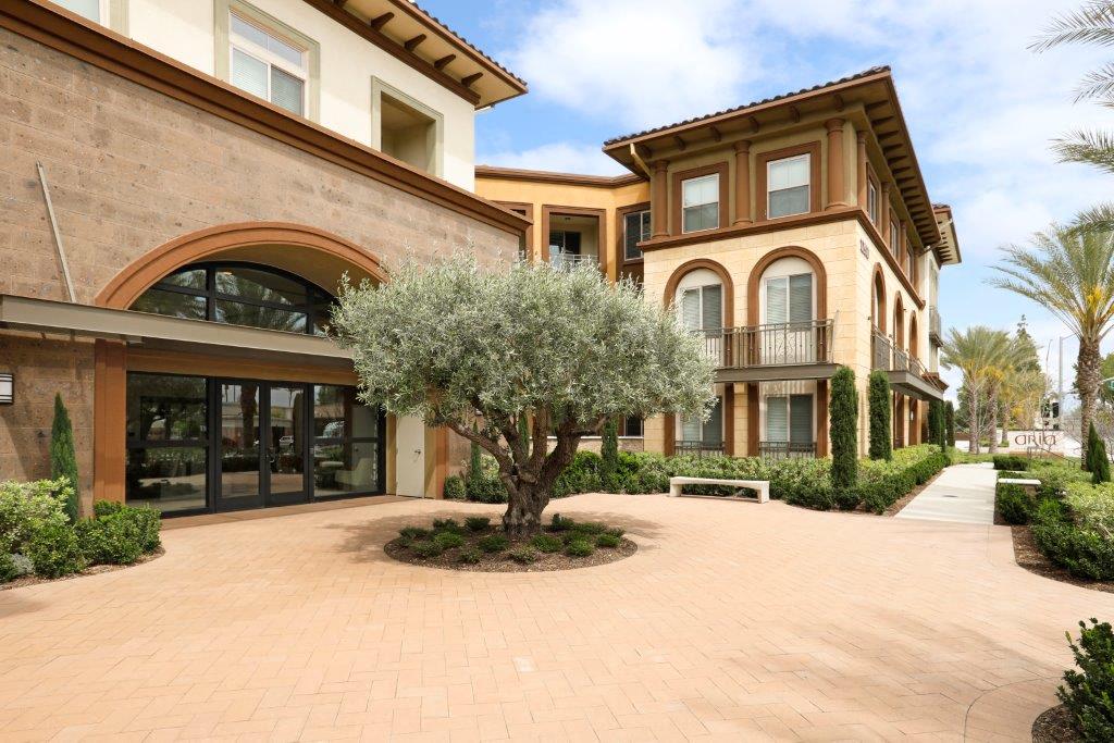 a tree in the middle of a driveway in front of a building